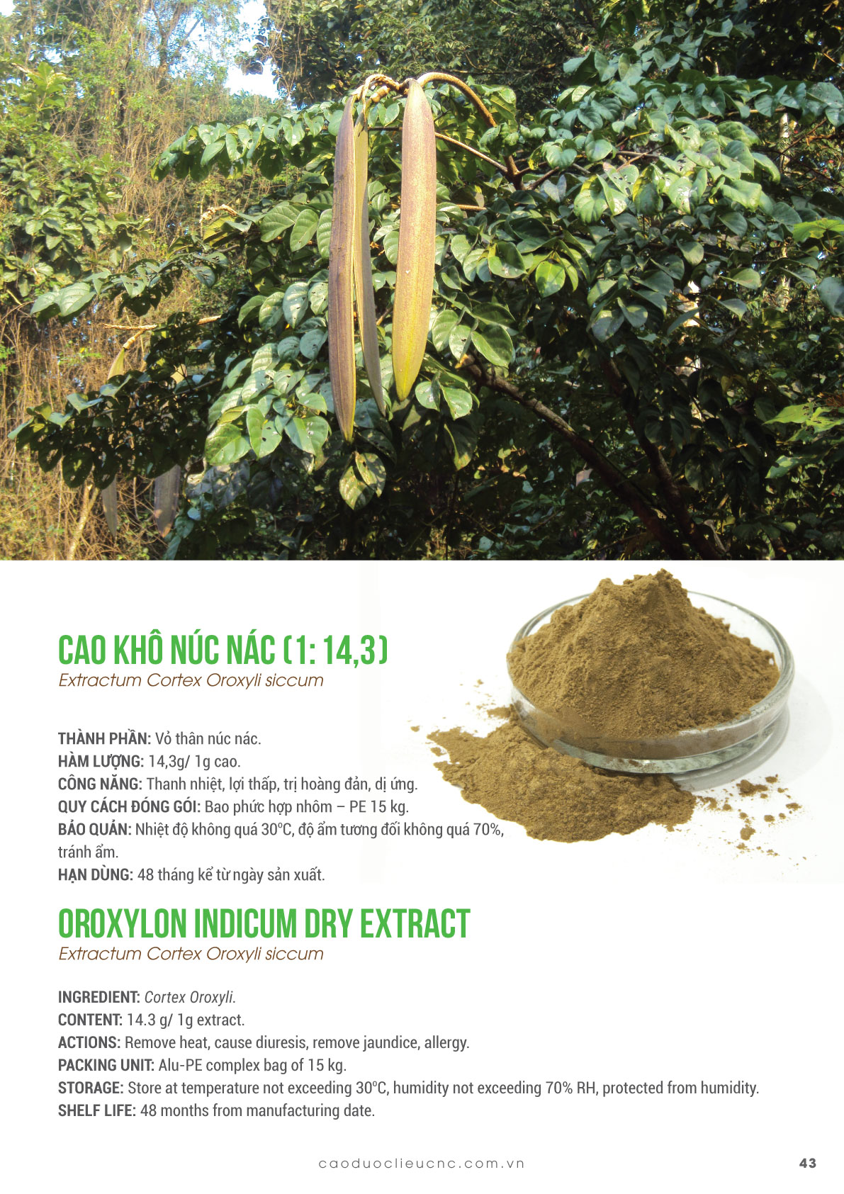 43